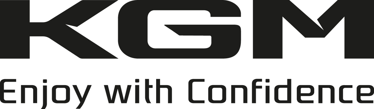 Logo SsangYong